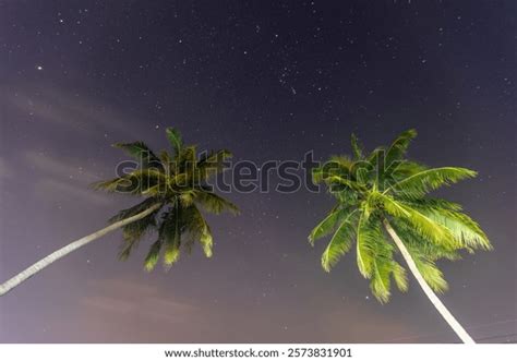 Im Genes Fotos De Stock Objetos En D Y Vectores Sobre Milky Way Naked Eye Shutterstock