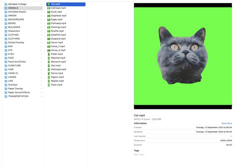 how to unfold a pack and play