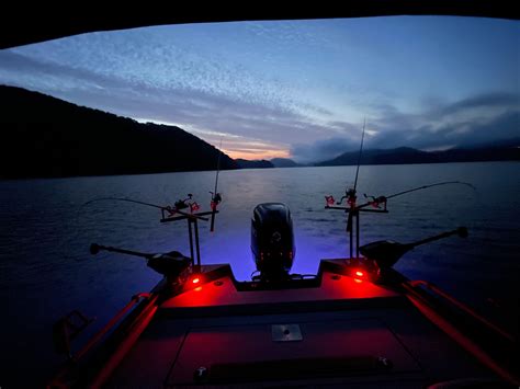 Watauga Lake Fishing Adventures Fishing Charters For The Ultimate