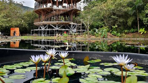 Así será el renovado Jardín Botánico la nueva atracción turística de