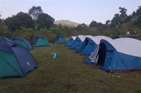 Bale Mountains Trekking - Simien Mountains Trekking and Tours