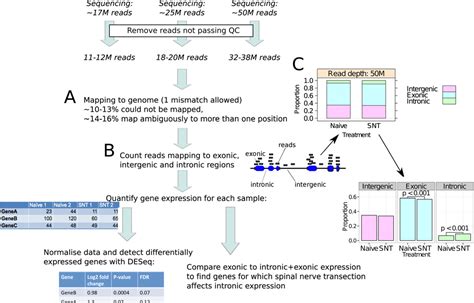 A Comparison Of Rna Seq And Exon Arrays For Whole Genome Transcription