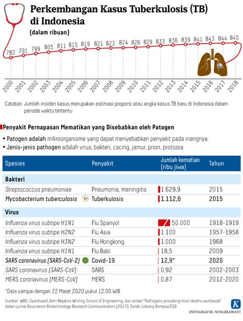 Kasus Tuberkulosis Tinggi Di Kota Cirebon Angka Penyembuhannya Rendah