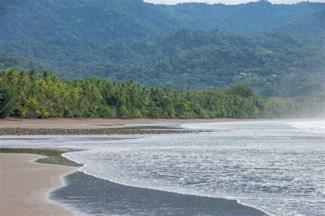 Things To Know Before Visiting Marino Ballena National Park