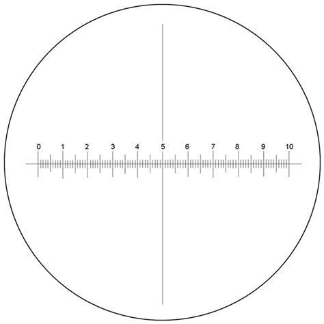 Microscope Eyepiece Reticle Calibration Slide Microscopes Optical ...