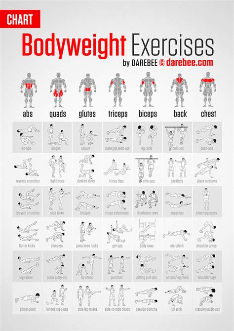 List of Bodyweight Exercises [Infographic]