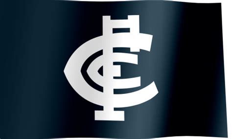 Carlton Football Club Fan Flag  All Waving Flags