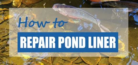 How to Repair Pond Liner that is Leaking (Fast & Easy Fixes) - Pond ...