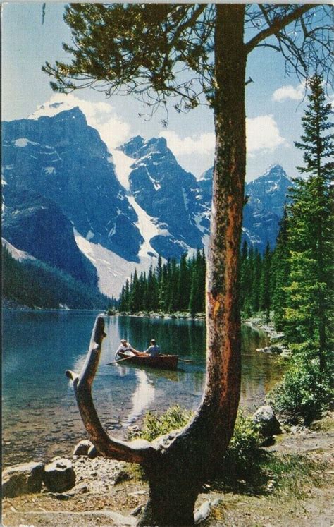 Moraine Lake Alberta Valley Of Ten Peaks Banff National Park Tree