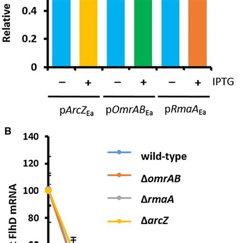 Hfqdependent SRNA Crosscomplementarity For Motility Phenotypes A