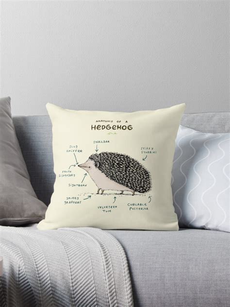 Anatomy Of A Hedgehog Throw Pillow For Sale By Sophie Corrigan