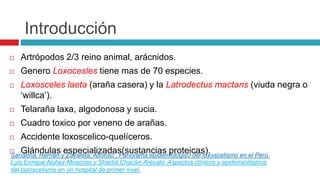 Loxoscelismo Y Ofidismo En Pediatria PPT