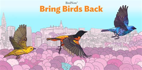 Season 7 Of Bring Birds Back Coming Soon Birdnote
