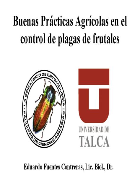 Buenas Prácticas Agrícolas En El Control De Plagas Pdf Plaga