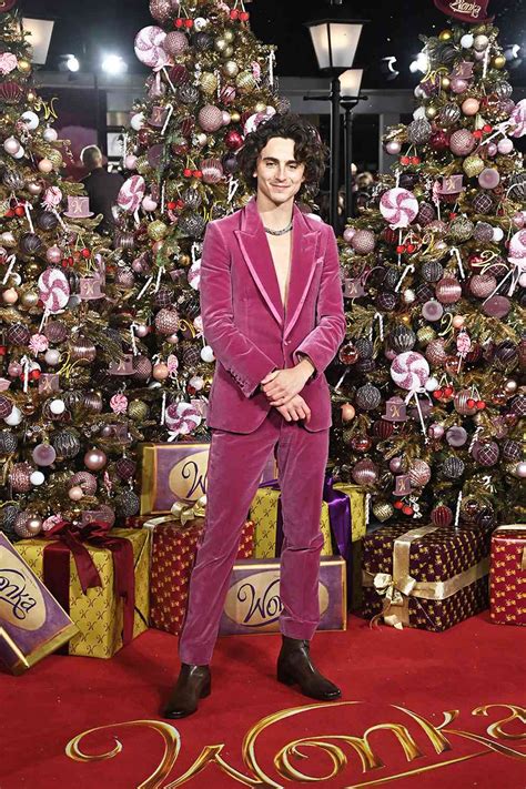 See Timoth E Chalamet S Red Carpet Outfit At Wonka L A Premiere Photo