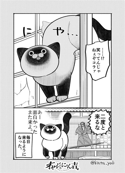 「野良猫が隠居極道の家に遊びに来る様になった話。 12 漫画が読めるハッシュタグ 」片倉 頼📦オヤジとにゃん吉👨‍🦳🐾🐱11 10②