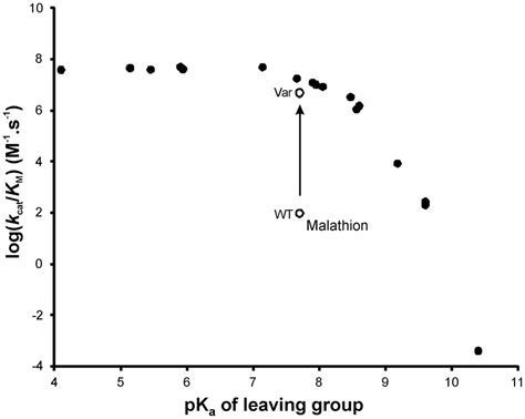 Brønsted Plot Of Leaving Group Pka Values Vs Log Kcat Km For A Range Download Scientific