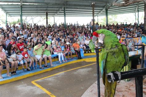 Bird Show at Mazatlán Aquarium in Mazatlán, Sinaloa, Mexico