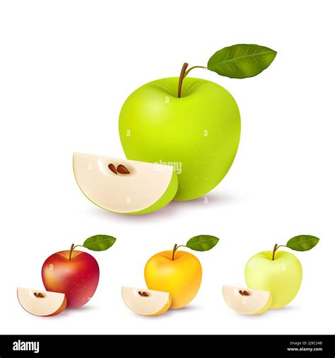 Four Apples Stock Vector Images Alamy