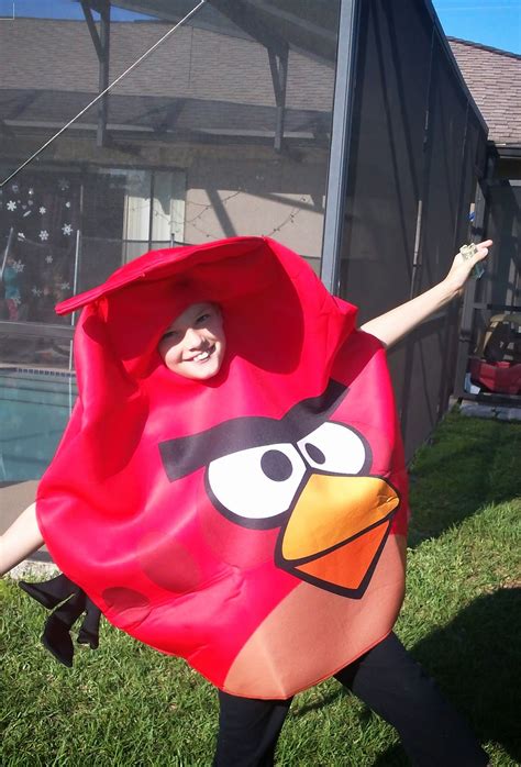 ThemeParkMama: Angry Bird Costume from FrightCatalog.com