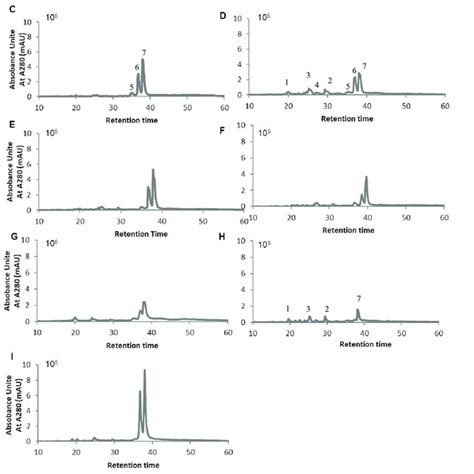 Hplc Chromatograms Of Leaf Extracts Obtained From Raspberry Plants