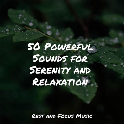 Powerful Sounds For Serenity And Relaxation Album By Lullabies For