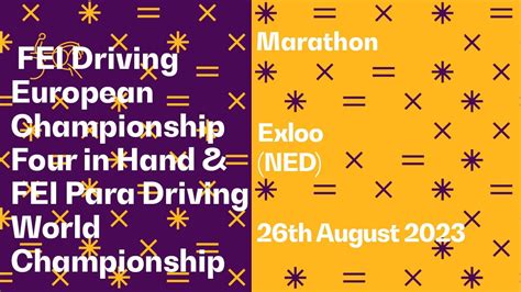 Marathon I Fei Driving European Championship Four In Hand Fei Para