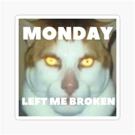 "Monday Left Me Broken Cat" Sticker for Sale by serenadesigns | Redbubble