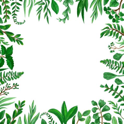 Greenery Png Frame And Digital Borders Png Clipartspring Etsy Australia