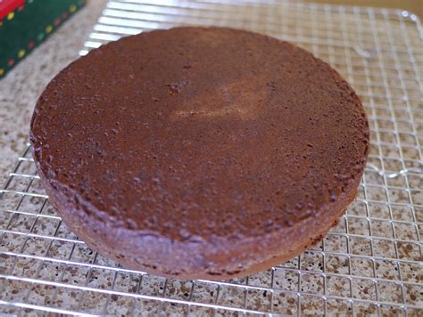 The Busy Oven Chocolate Dobash Cake