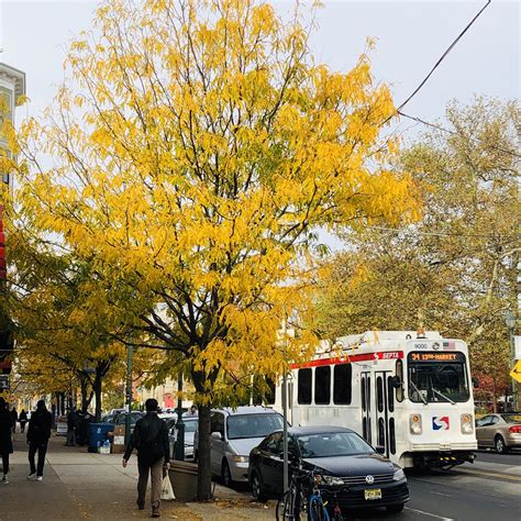 Baltimore ave and 49th : r/philadelphia
