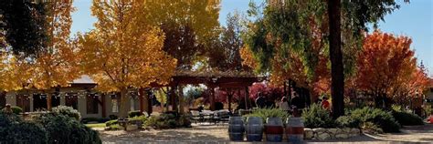 Four Sisters Ranch Vineyards & Winery