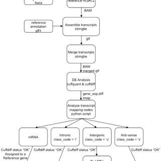 Schematic Representation Of The Classification Strategy Used In This