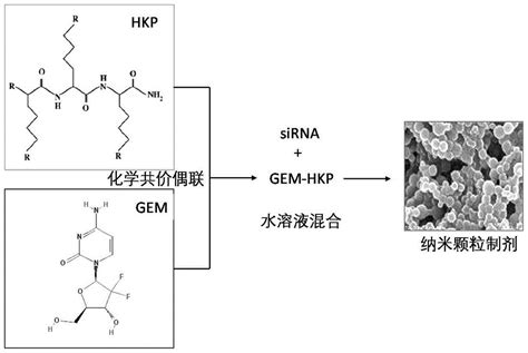 用于癌症治疗的吉西他滨衍生物的制作方法