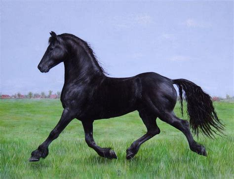 Friesian Horse Wallpapers - Wallpaper Cave