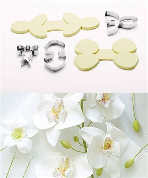 Moth Orchid Cutter Veiner Set Polymer Flowers Gum Paste Flowers