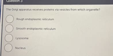 SOLVED Question 3 The Golgi Apparatus Receives Proteins Via Vesicles