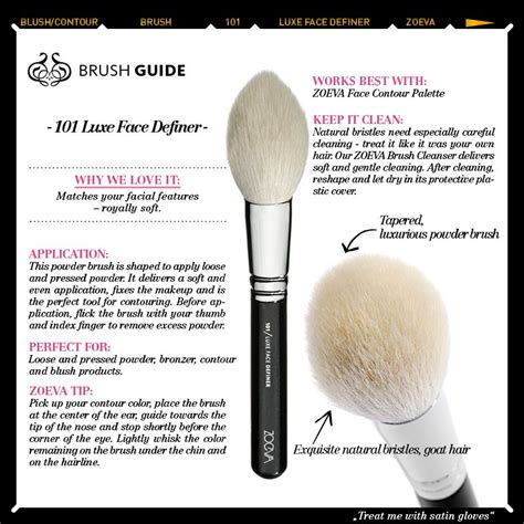 Zoeva 101 Face Definer Features In Samantha Ravndahls Fave Brushes