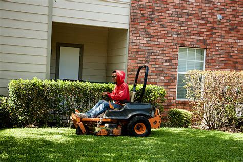 The Mexican Lawnmower Navigating Regulations And Impact