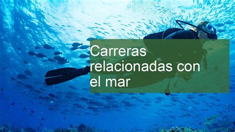 Carreras Relacionadas Con El Mar Youtube