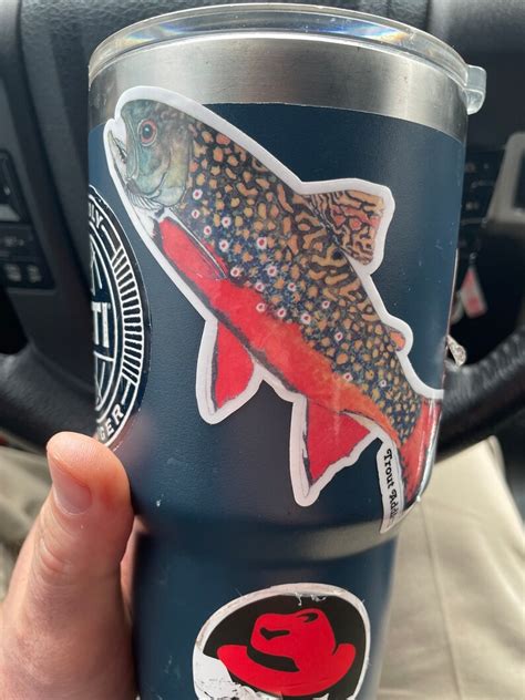 Brook Trout Vinyl Sticker Trout Sticker Fly Fishing Brook Trout 5x5