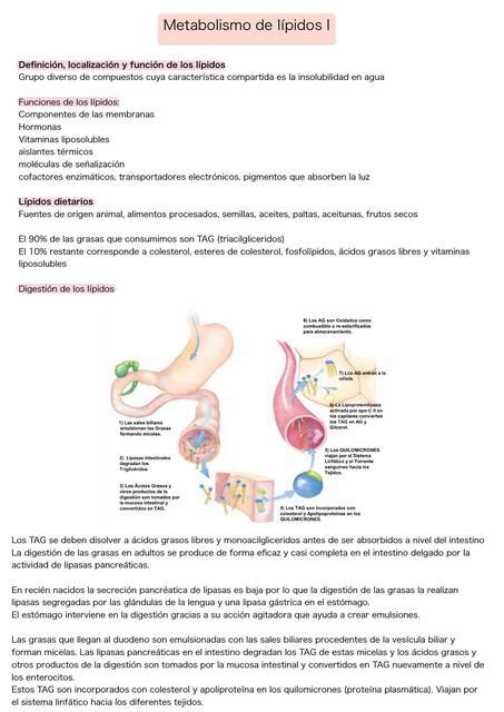 Resúmenes de Metabolismo de lípidos Descarga apuntes de Metabolismo