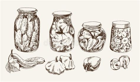 Set of pickles stock illustration. Illustration of food - 33671936
