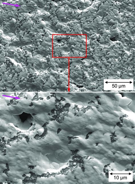 Scanning electron micrographs of the marker layer after exposure, at ... 