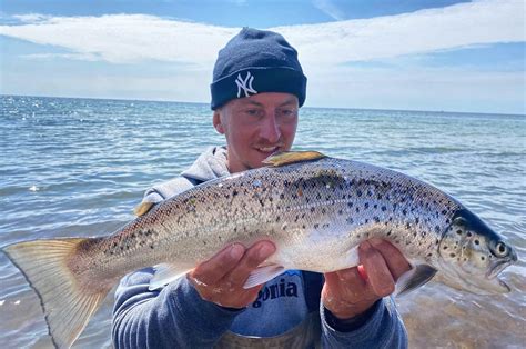 SOMMERENS VILDESTE HAVØRREDFISKERI Fisk Fri