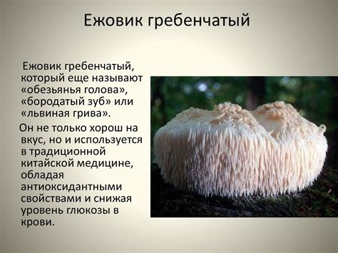 Необычные грибы - online presentation