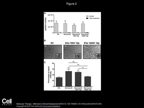 Molecular Therapy Methods And Clinical Development Ppt Download