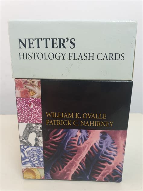 Netter S Histology Flash Cards Hobbies Toys Books Magazines