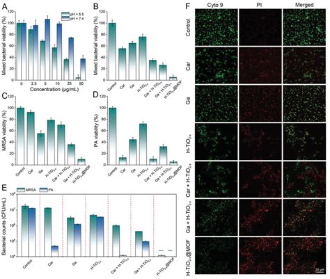 Assessment Of In Vitro Antibacterial Activity Of HTiO2x MOF A Mixed