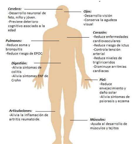 ¿conoces Todos Los Beneficios Del Omega3 Para Tu Cuerpo Beneficios Del